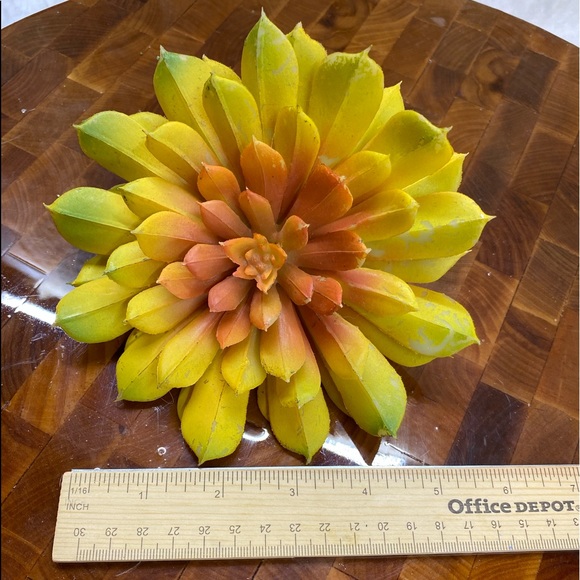 Lot of 3, Faux succulent florals for DIY - Picture 5 of 12